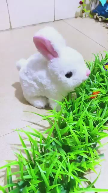 Walking And Talking Rabbit